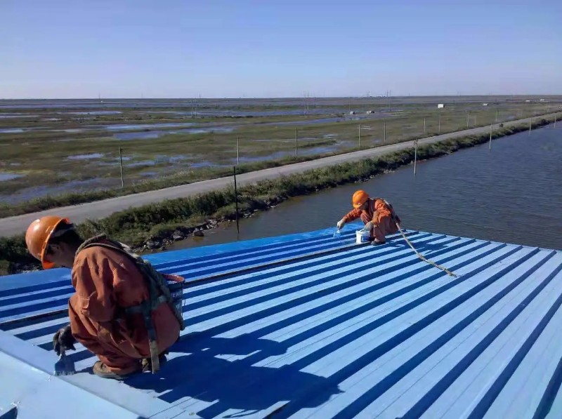 邯郸钢结构屋面漏水原因